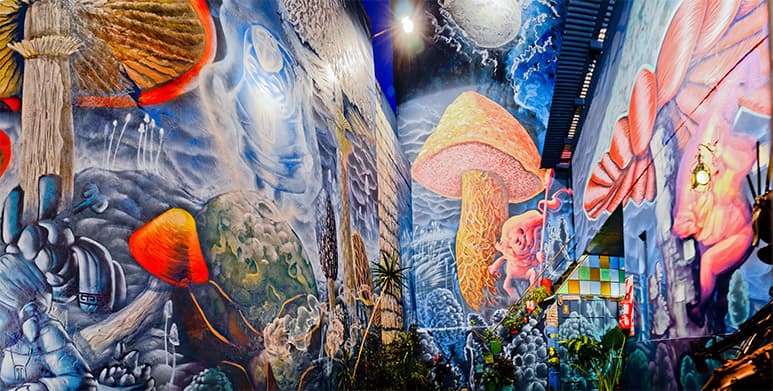 Colaboración Buenos Aires