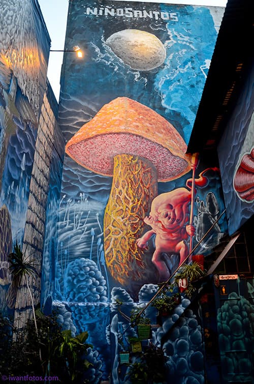 Collaboration detail / Buenos Aires wall / 2014