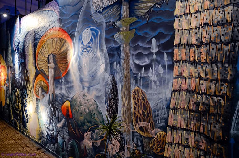 Collaboration process / Oz + Ice / Buenos Aires, La Plata / 2014